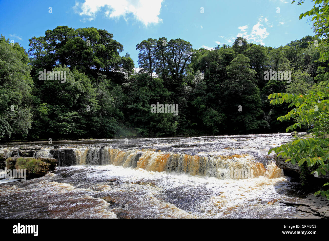 Upper Aysgarth Falls, River Ure, Aysgarth, Wensleydale, North Yorkshire, UK Stock Photo