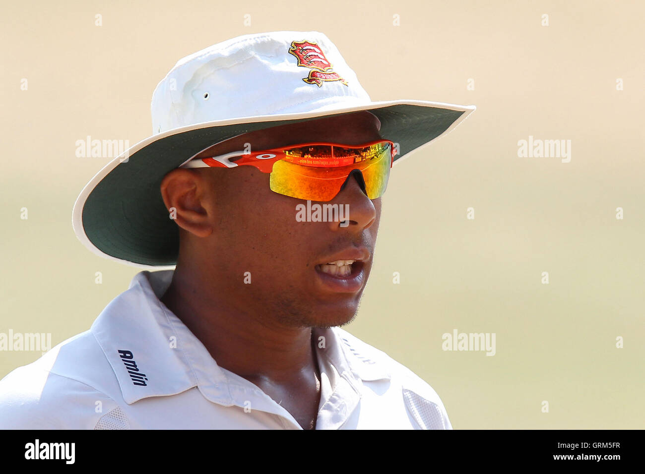 cricket sunglasses