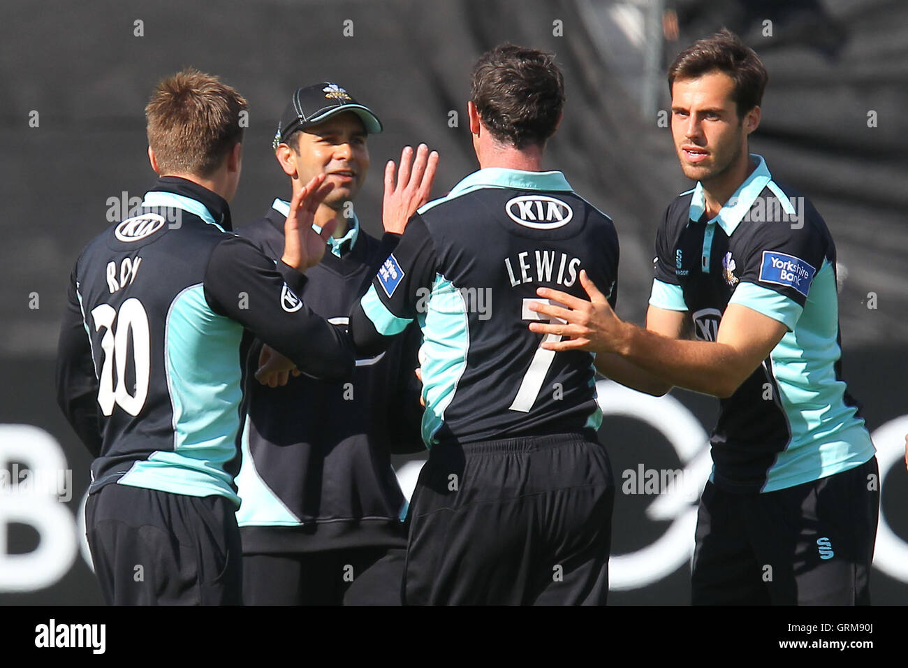 Surrey players celebrate the wicket of Hamish Rutherford - Essex Eagles vs Surrey Lions - Yorkshire Bank YB40 Cricket at the Essex County Ground, Chelmsford - 03/06/13 Stock Photo
