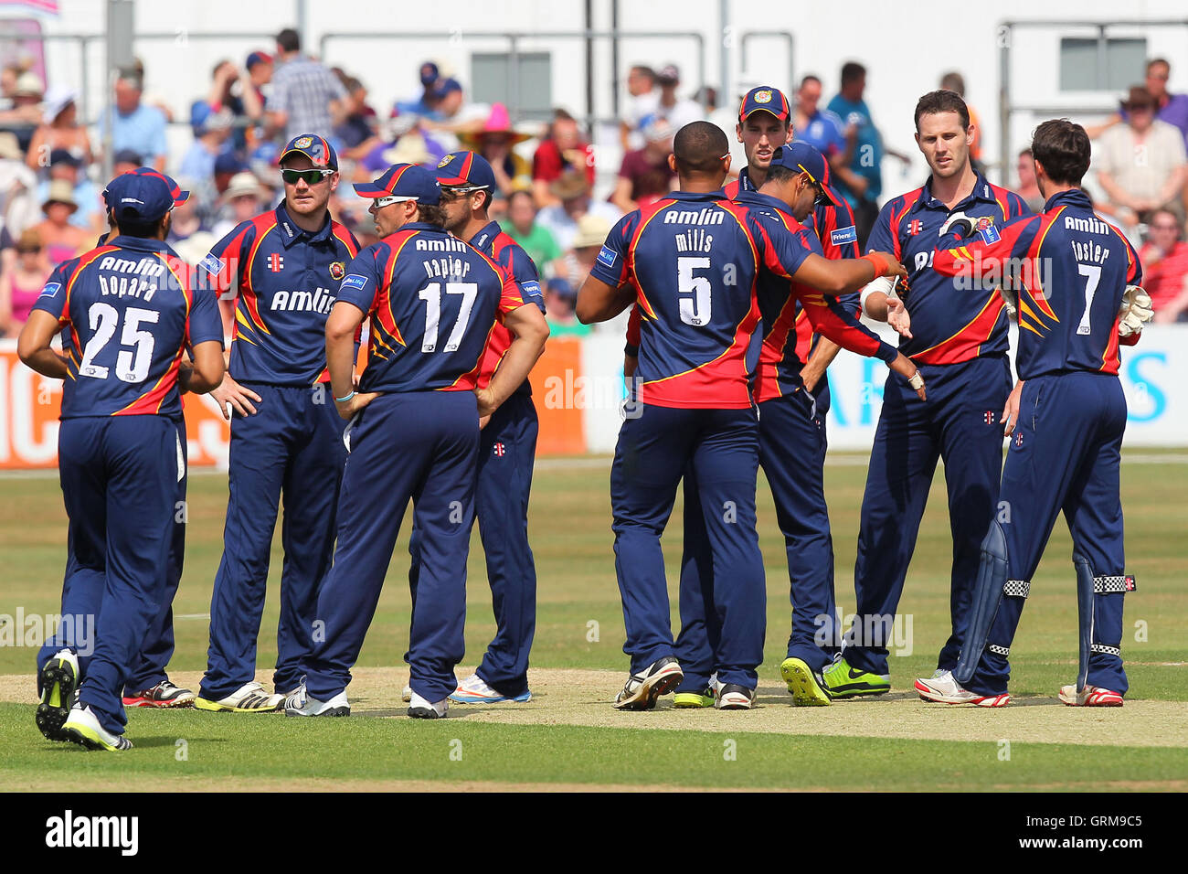 Shaun Tait (2nd R) of Essex is congratulated on the wicket of Scott Styris - Essex Eagles vs Sussex Sharks - Friends Life T20 Cricket at the Essex County Ground,Chelmsford - 14/07/13 Stock Photo