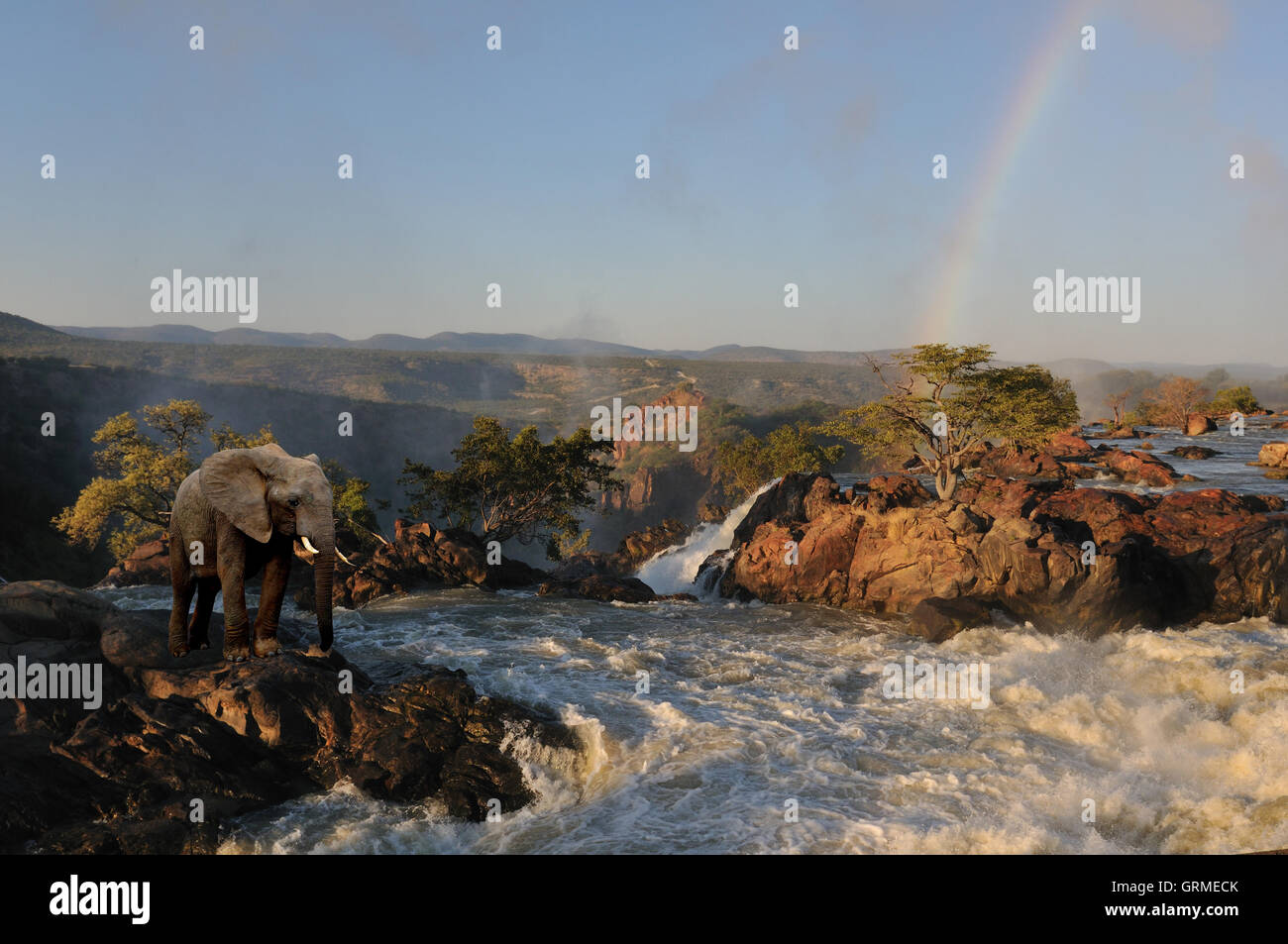 Composite of an elephant at the Ruacana waterfalls, Namibia Stock Photo