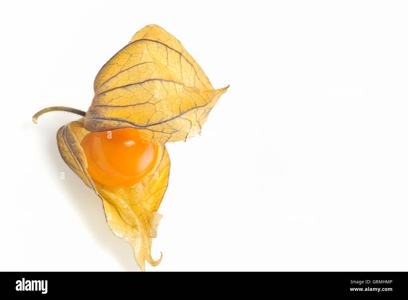 phisalis small yellow fruit Stock Photo - Alamy