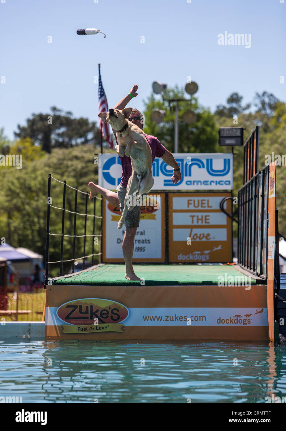 Dog jumping off dock hires stock photography and images Alamy