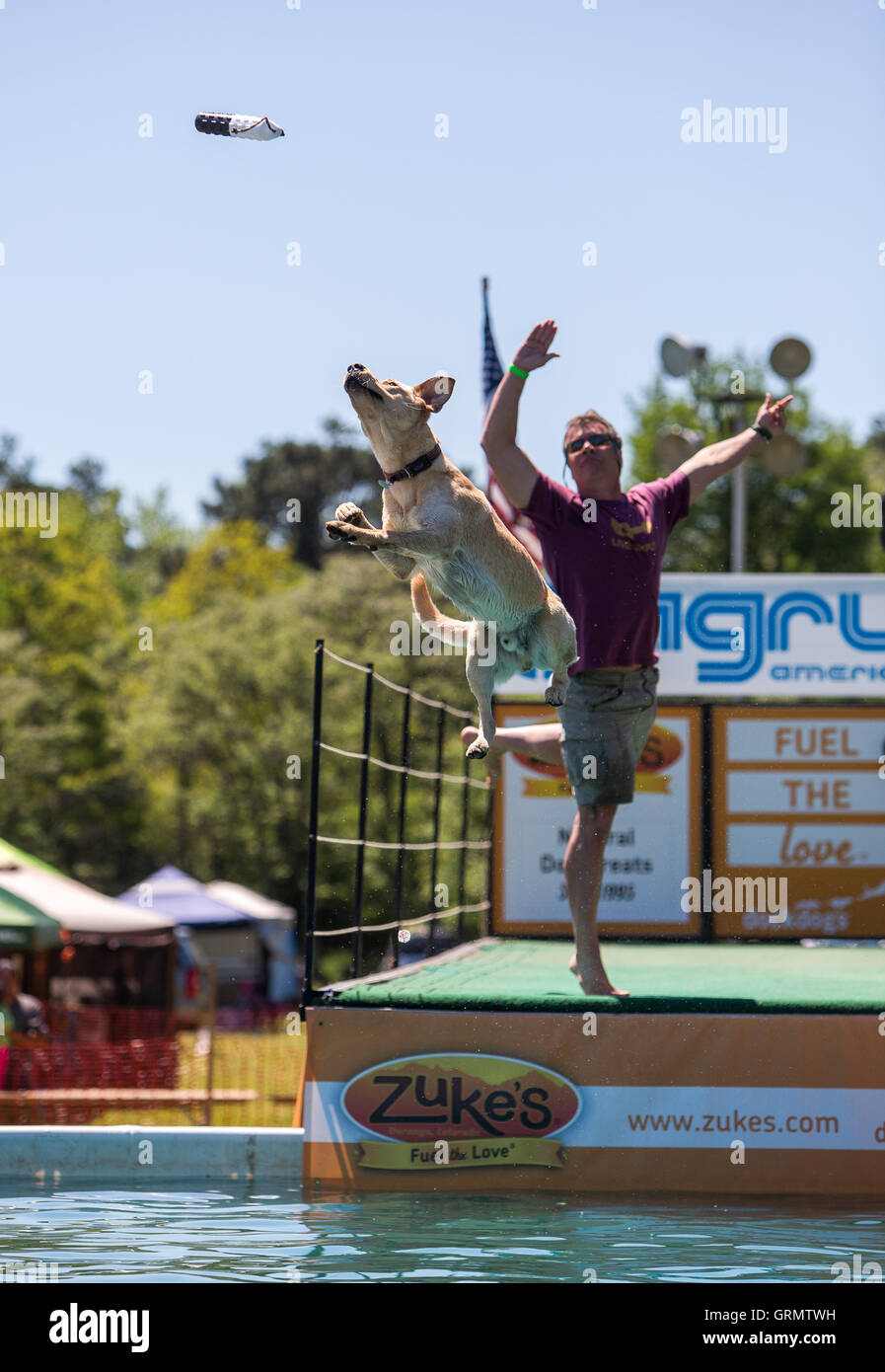 Dog jumping off dock hires stock photography and images Alamy