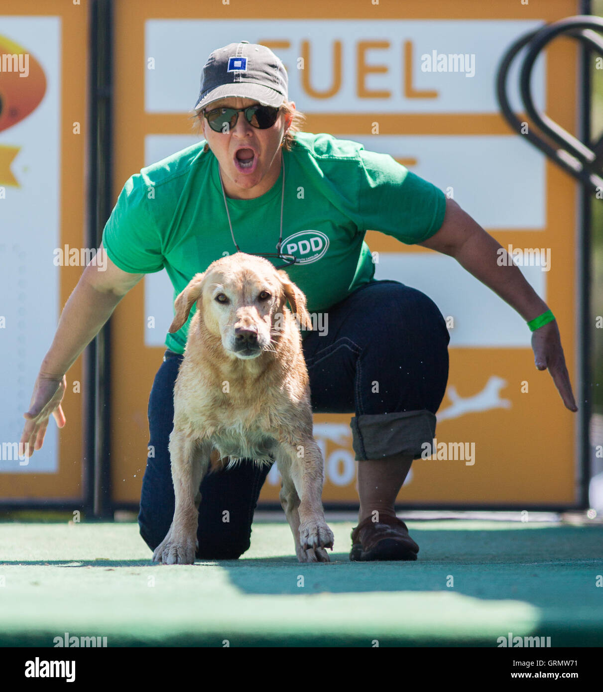 Dock Dog jumping competition in Charleston, South Carolina. Dogs can