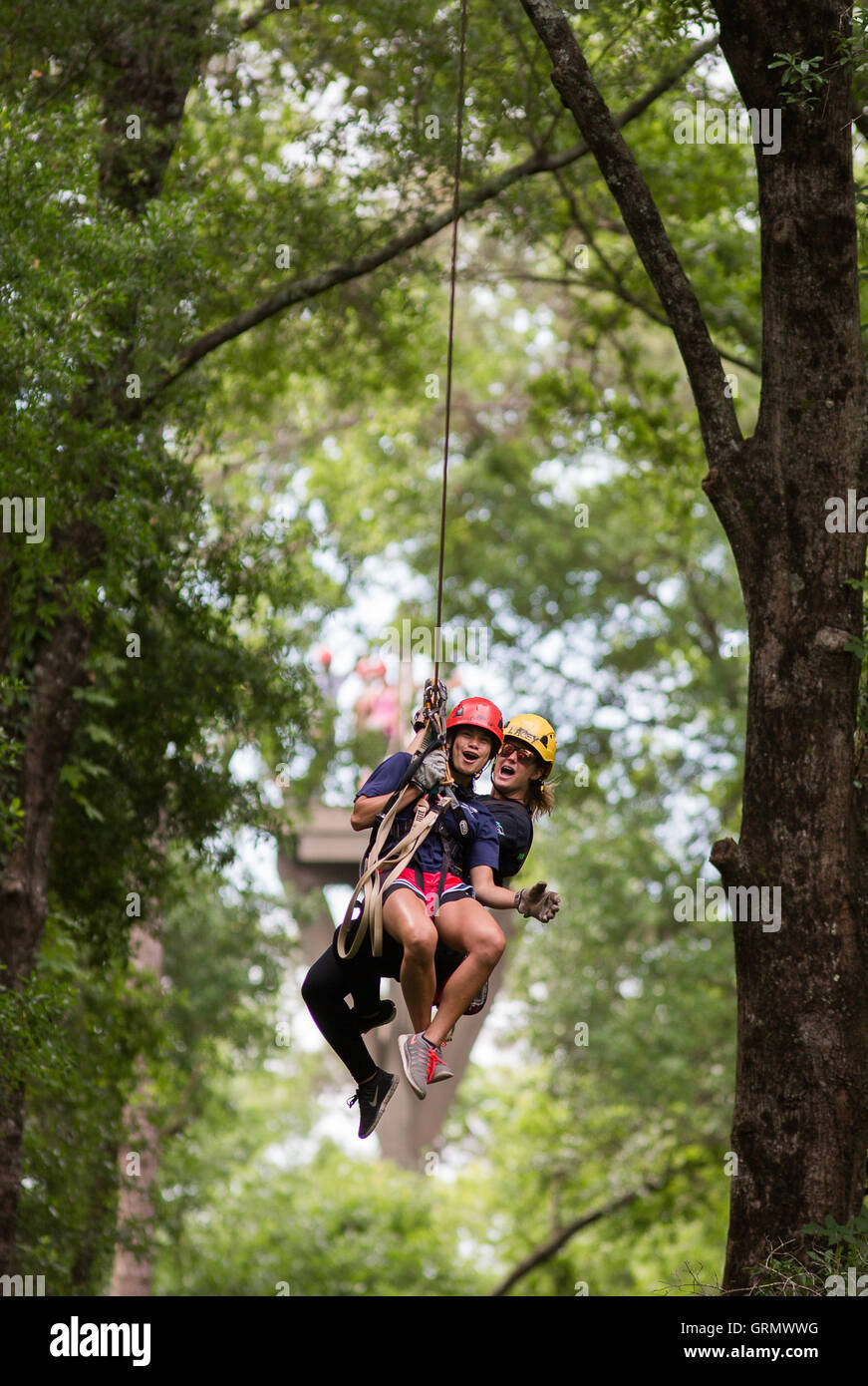 Zip Line park on Hilton Head Island, South Carolina Stock Photo Alamy