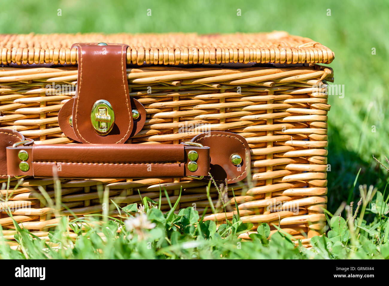 Picnic Basket Hamper With Leather Handle In Green Grass Stock Photo