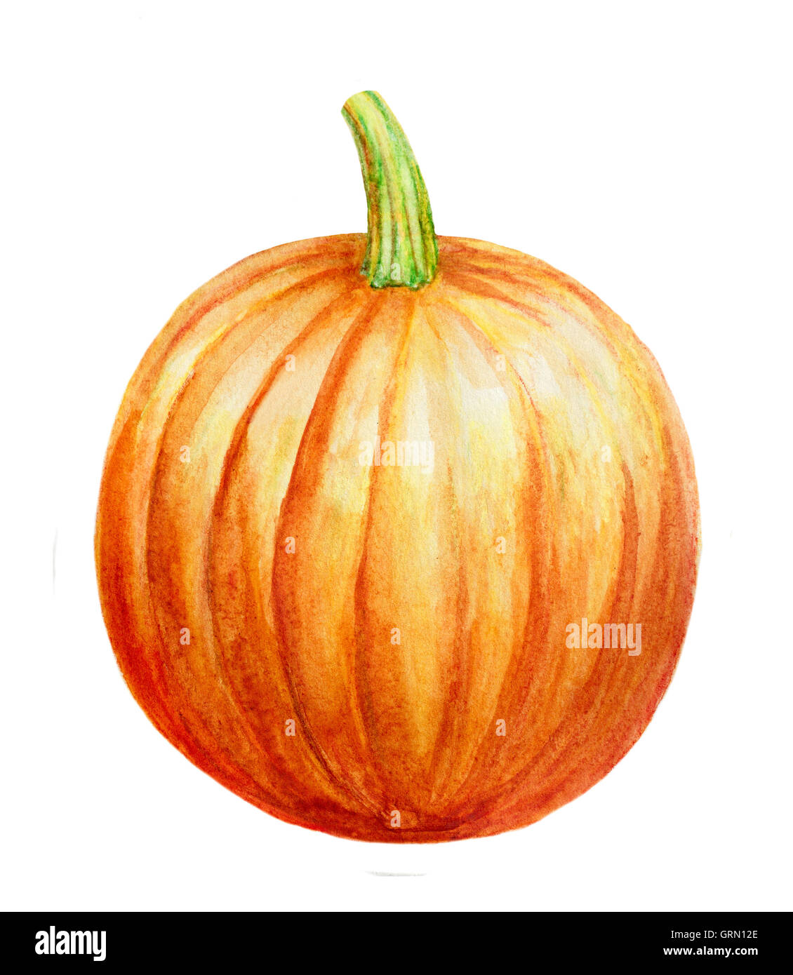 hand drawn watercolor pumpkin isolated on white background Stock Photo ...
