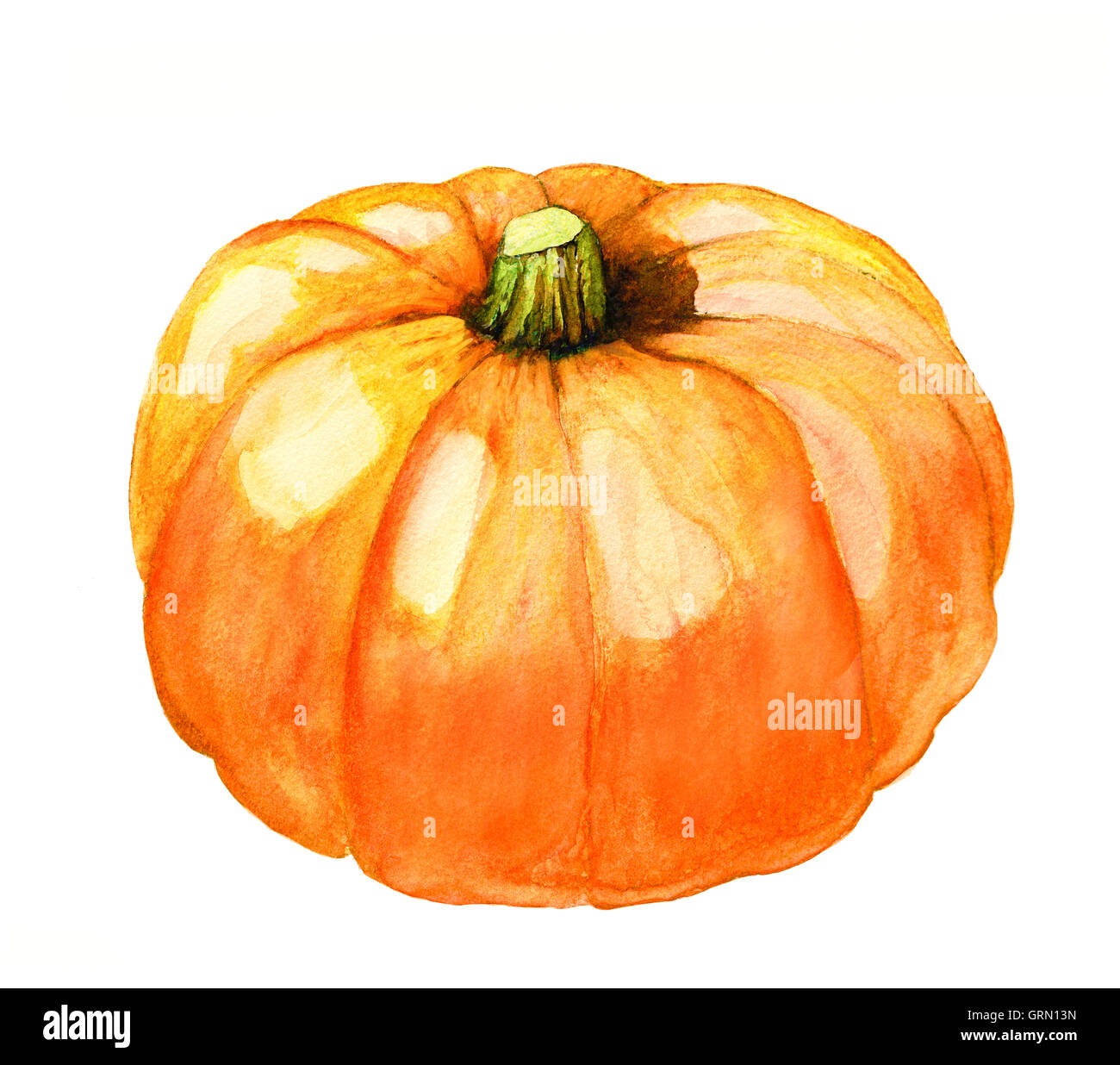 hand painted watercolor pumpkin isolated on white Stock Photo - Alamy