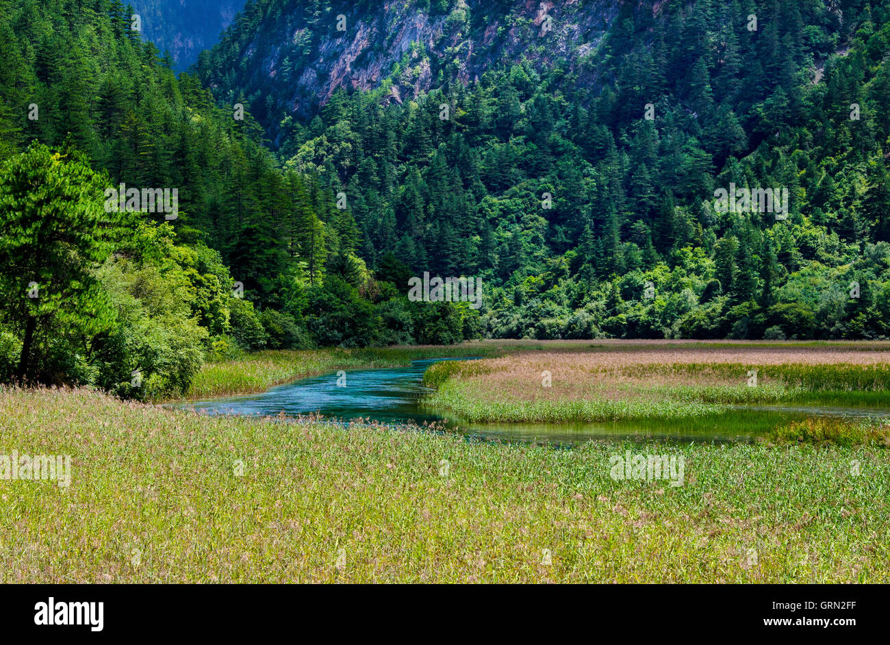 Reed Lake, Jiuzhaigou National Park, Szechuan, China Stock Photo Alamy