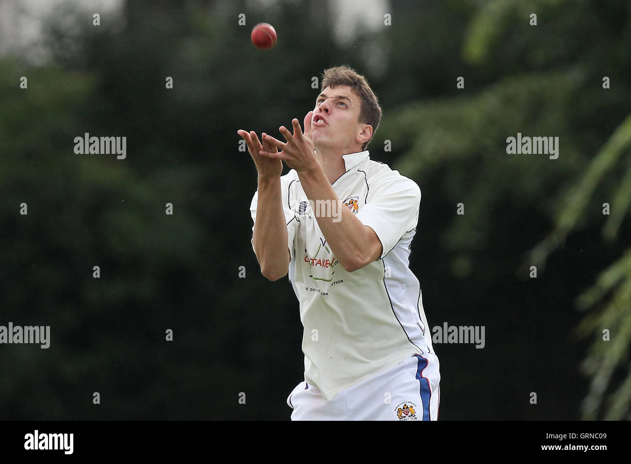 Hornchurch Athletic claim the 8th Brookweald wicket - Hornchurch Athletic CC vs Brookweald CC - Mid-Essex Cricket League at Hylands Park - 30/08/14 Stock Photo