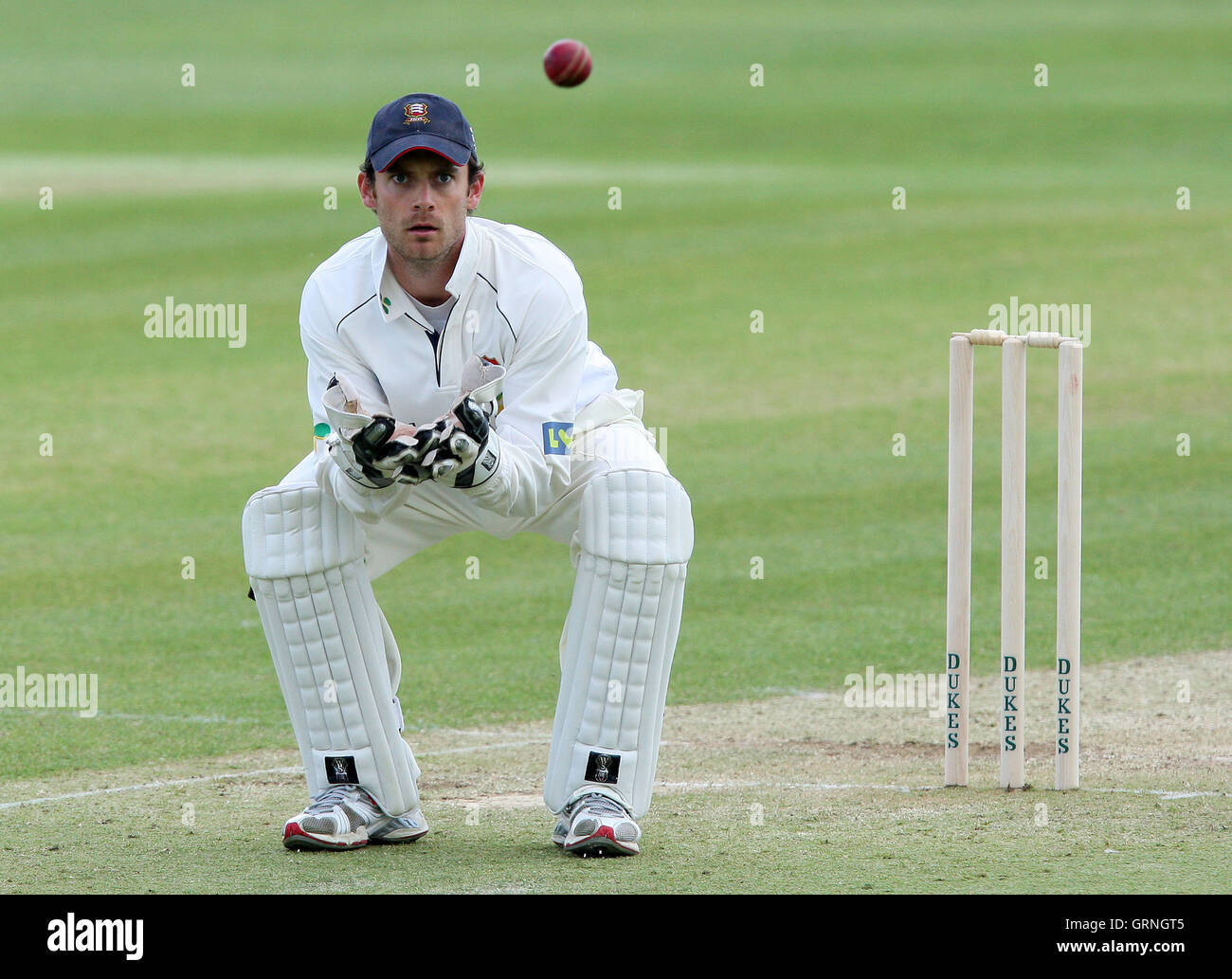 Cricket, wicket keeper in action Stock Photo - Alamy