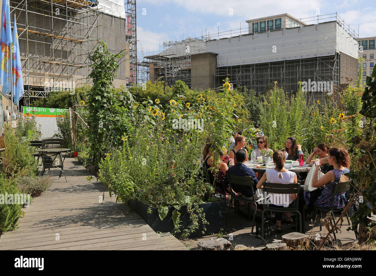 People enjoying a 'pop-up' garden built on the concrete roof terrace above the Queen Elizabeth Hall on London's South Bank. Stock Photo