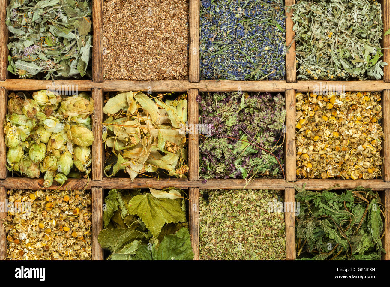 Assorted natural medical dried herbs. Stock Photo