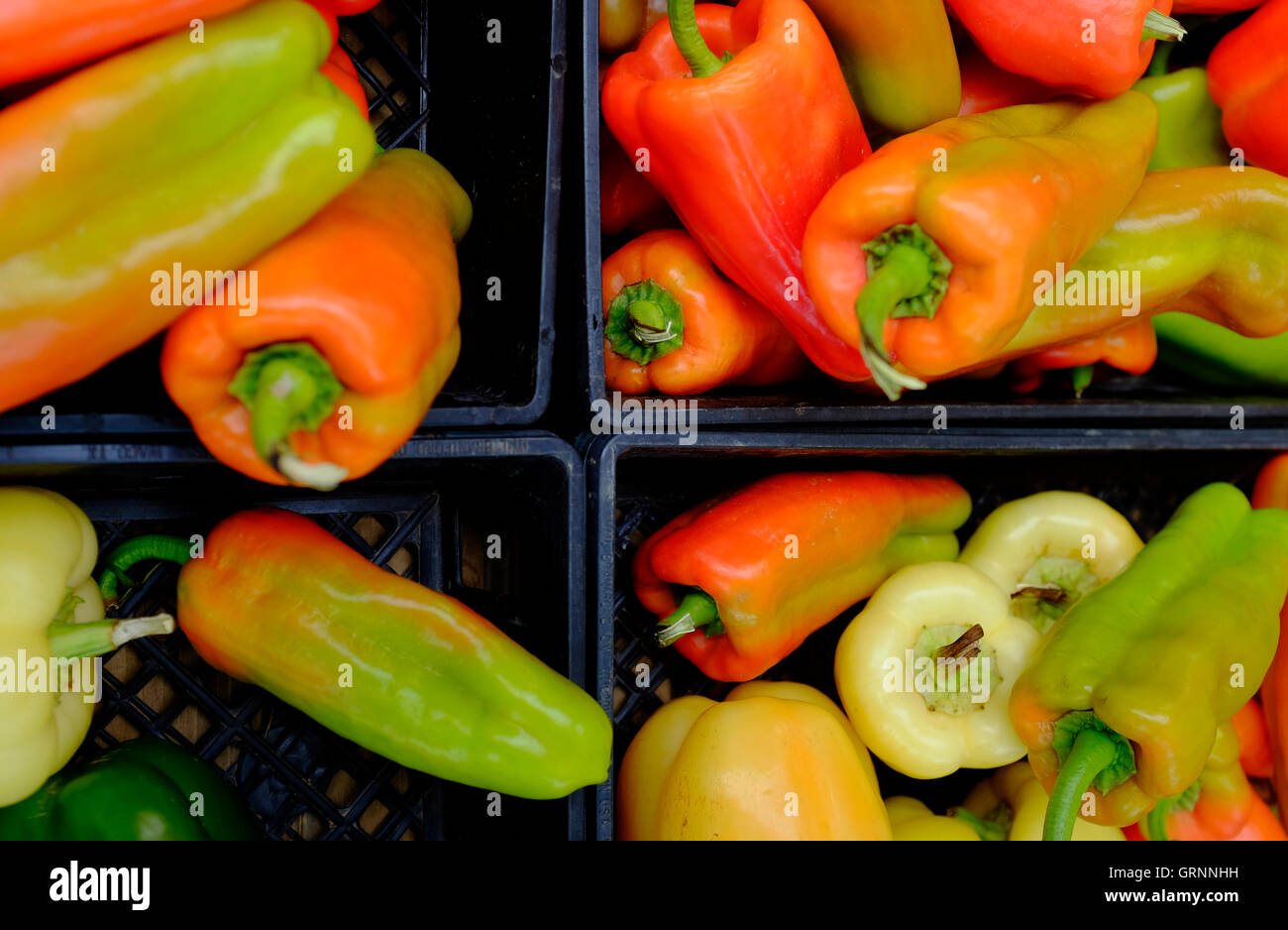 Colorful peppers for sale at Union Square Green Market.Manhattan,New York City,USA Stock Photo
