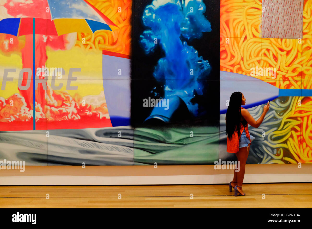 James Rosenquist F111