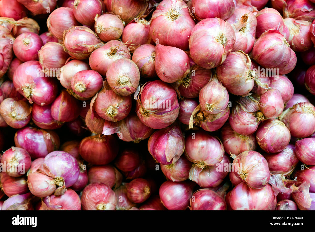 Premium Photo  Shallots or red onion purple shallots on wooden background  fresh shallot for medicinal products or herbs and spices thai food made  from this raw shallot