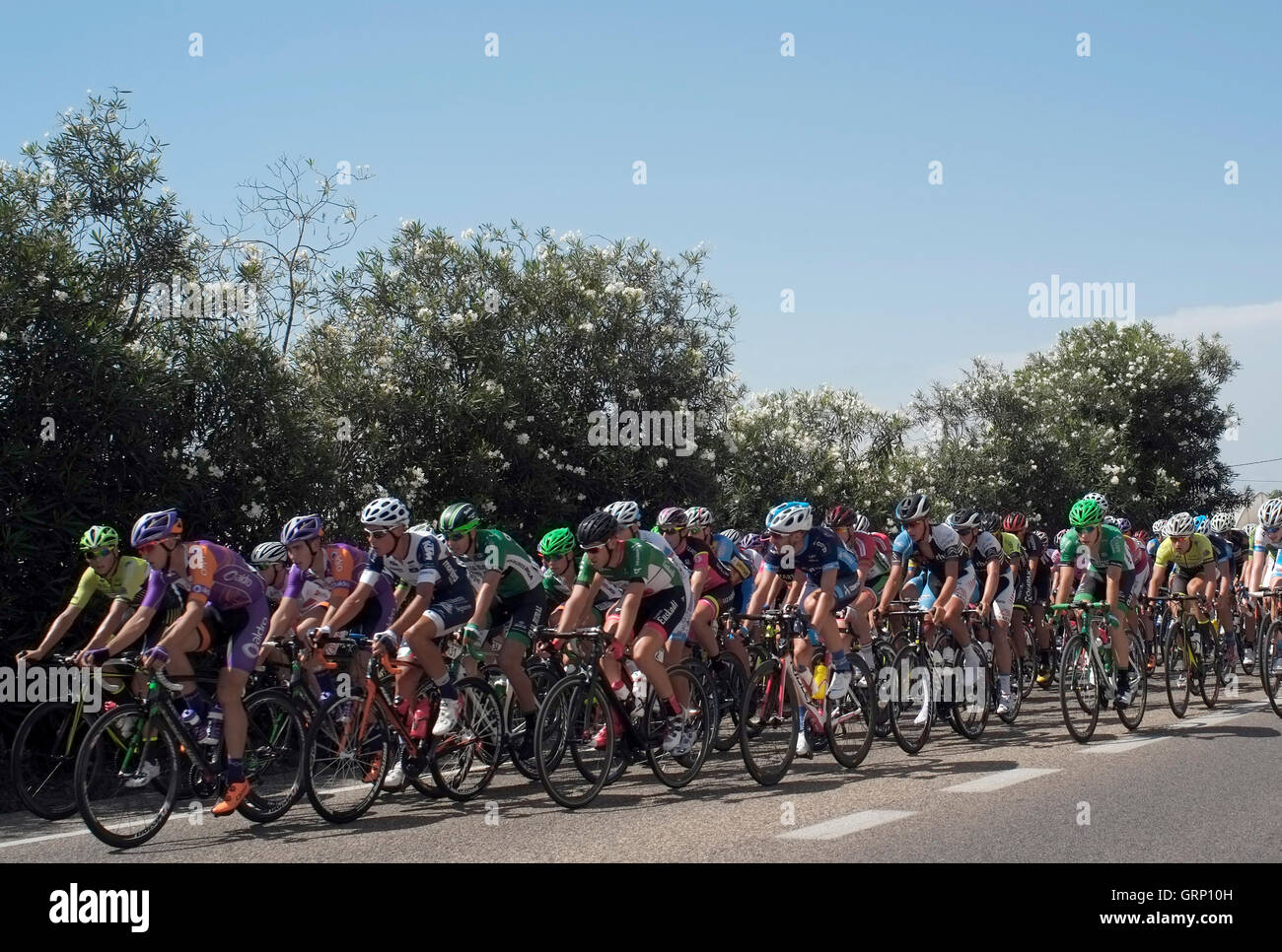 Cyclists compete in a race in the countryside outside Valencia, in Spain August 1, 2016. Copyright photograph John Voos Stock Photo