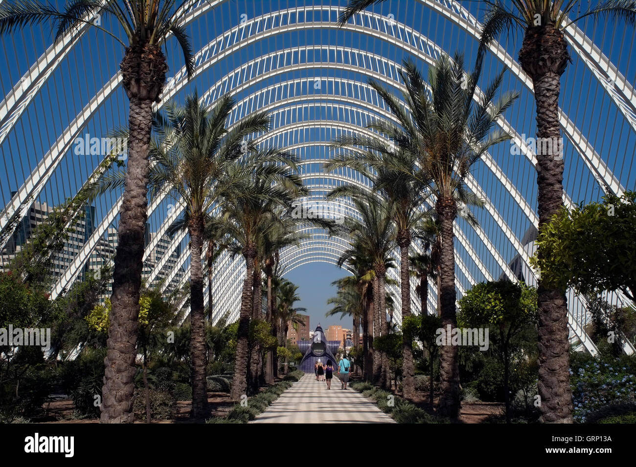 Buildings in the City of Arts and Sciences area of Valencia are seen, in Spain September 2, 2016. Copyright photograph John Voos Stock Photo