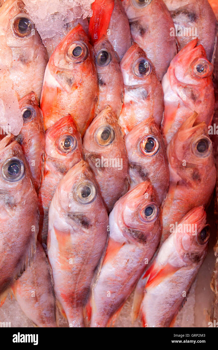 Fresh fish for sale at the seafood market, closeup view Stock Photo