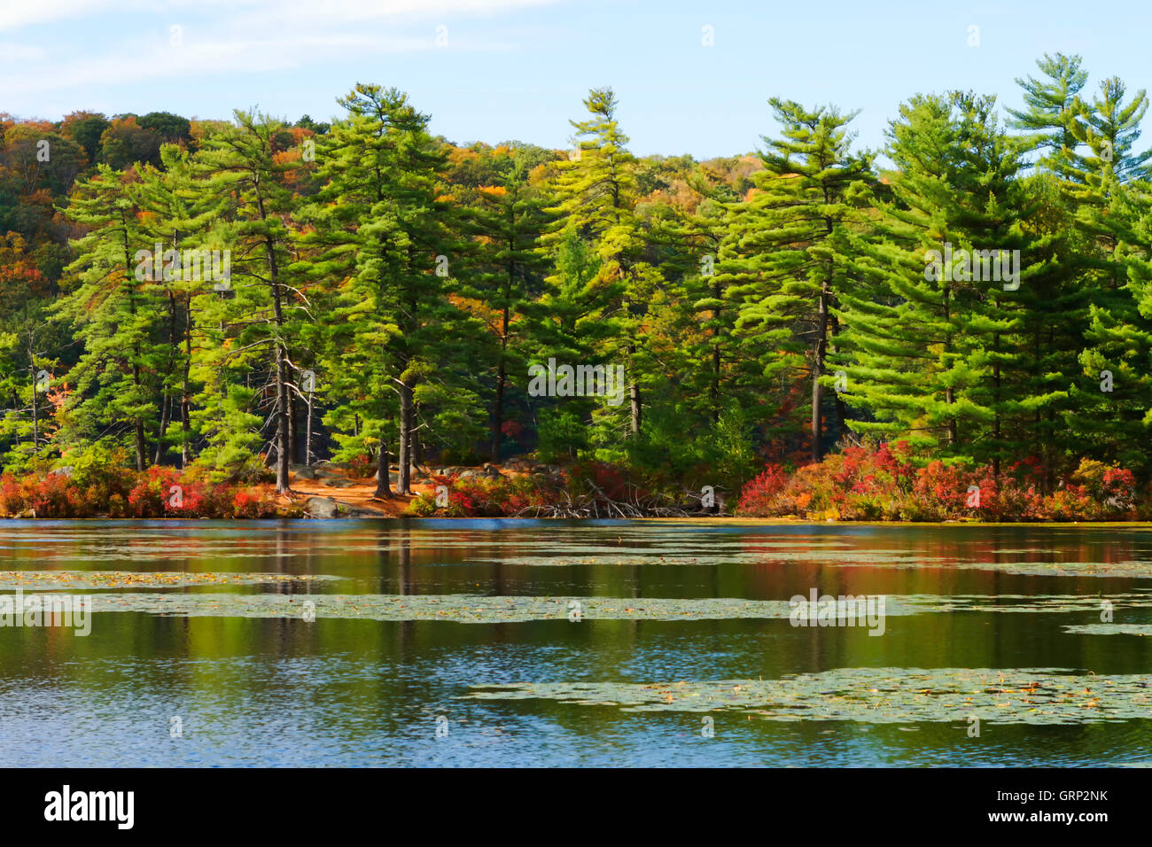 Fall landscape with the forest lake at sunset Stock Photo - Alamy