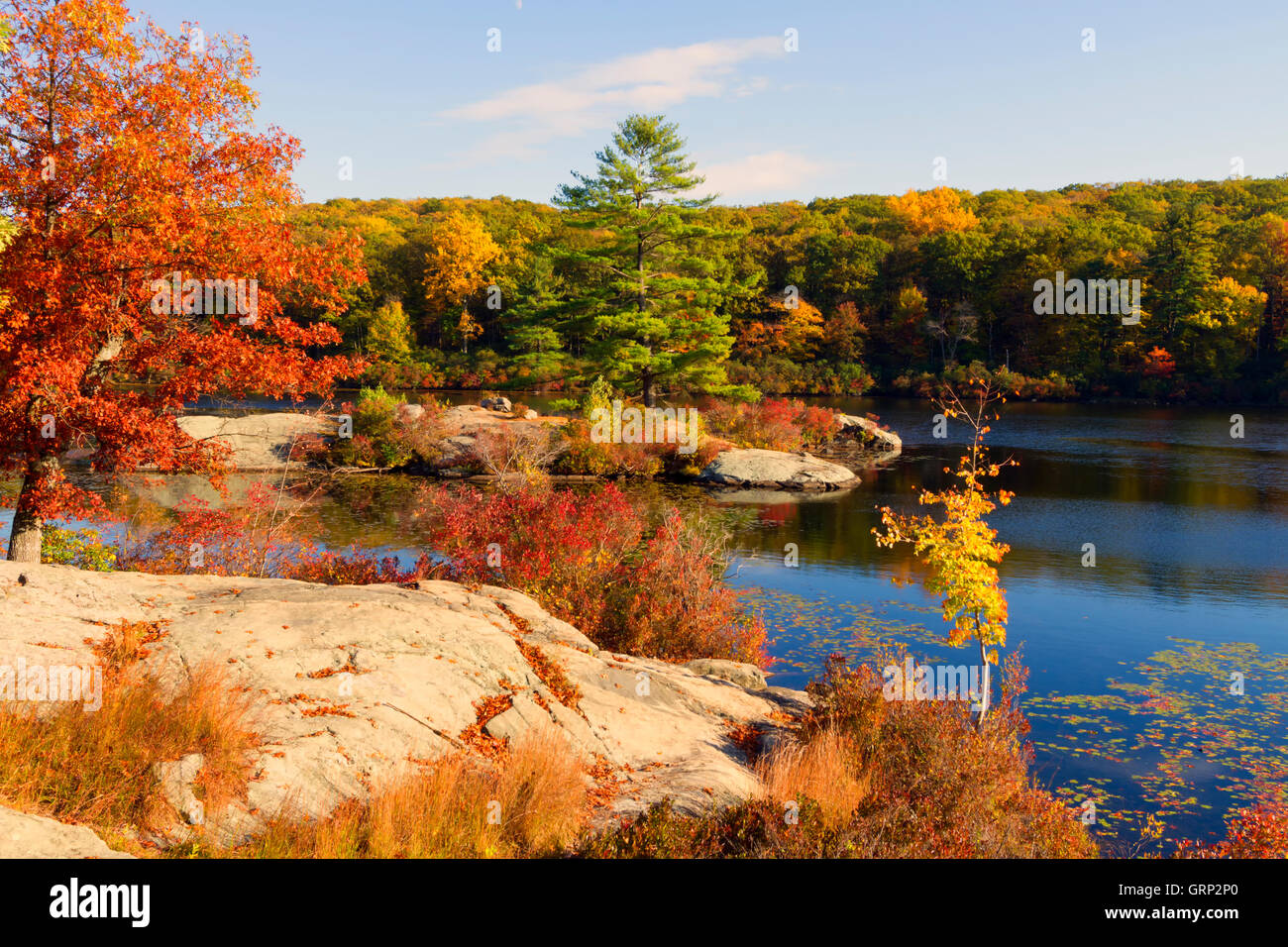 Fall landscape with the forest lake at sunset Stock Photo - Alamy