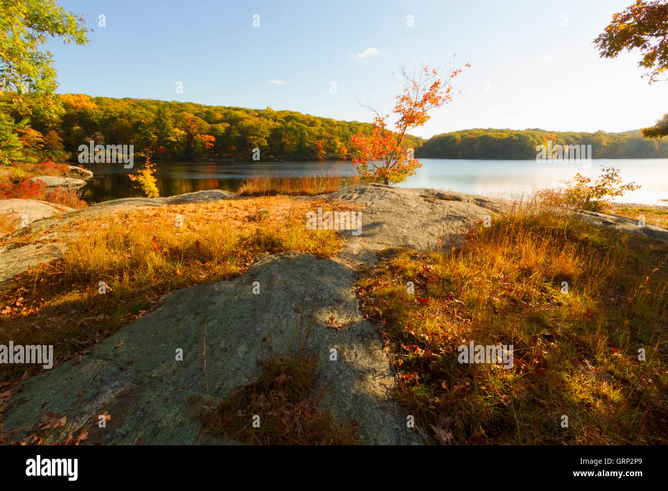 Fall landscape with the forest lake at sunset Stock Photo - Alamy