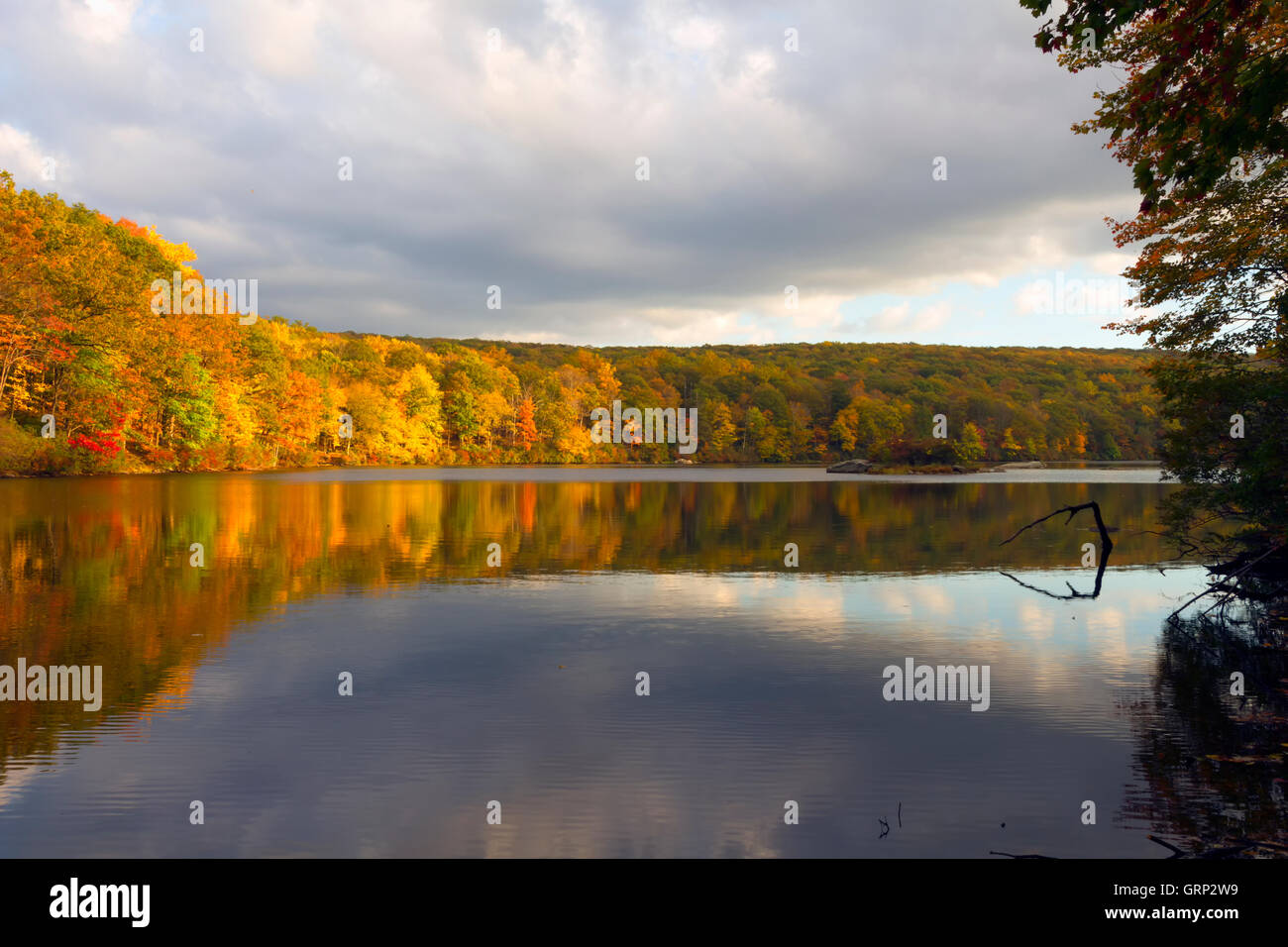 Fall landscape with the forest lake at sunset Stock Photo - Alamy