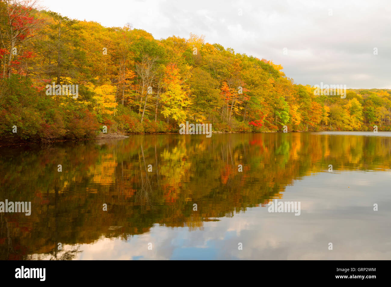 Fall landscape with the forest lake at sunset Stock Photo - Alamy
