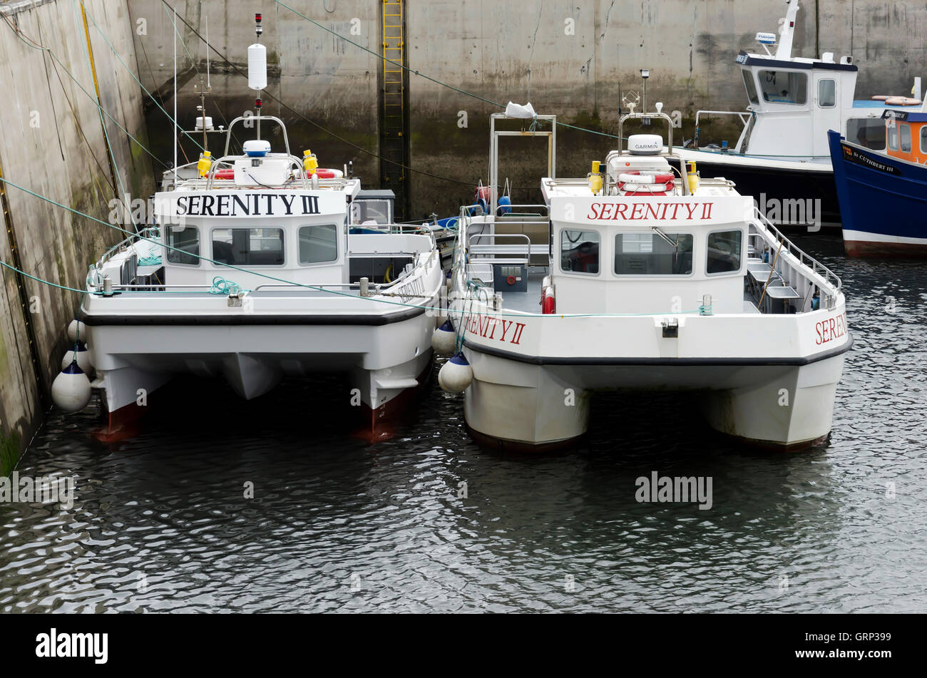 Tourist boats in Seahouses harbour on the coast of Northumberland, England. Stock Photo