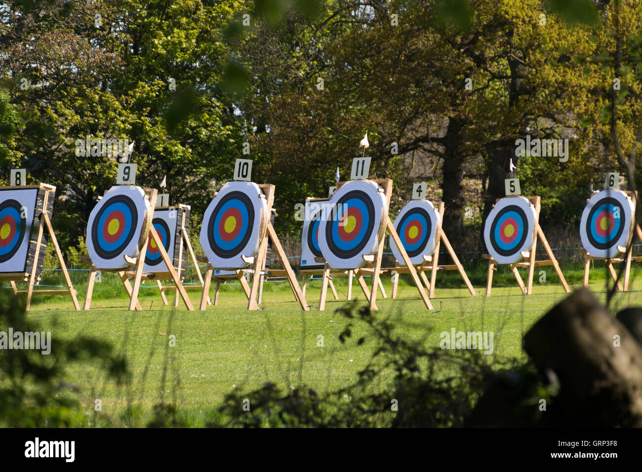 Archery range ready for competition through trees Stock Photo Alamy