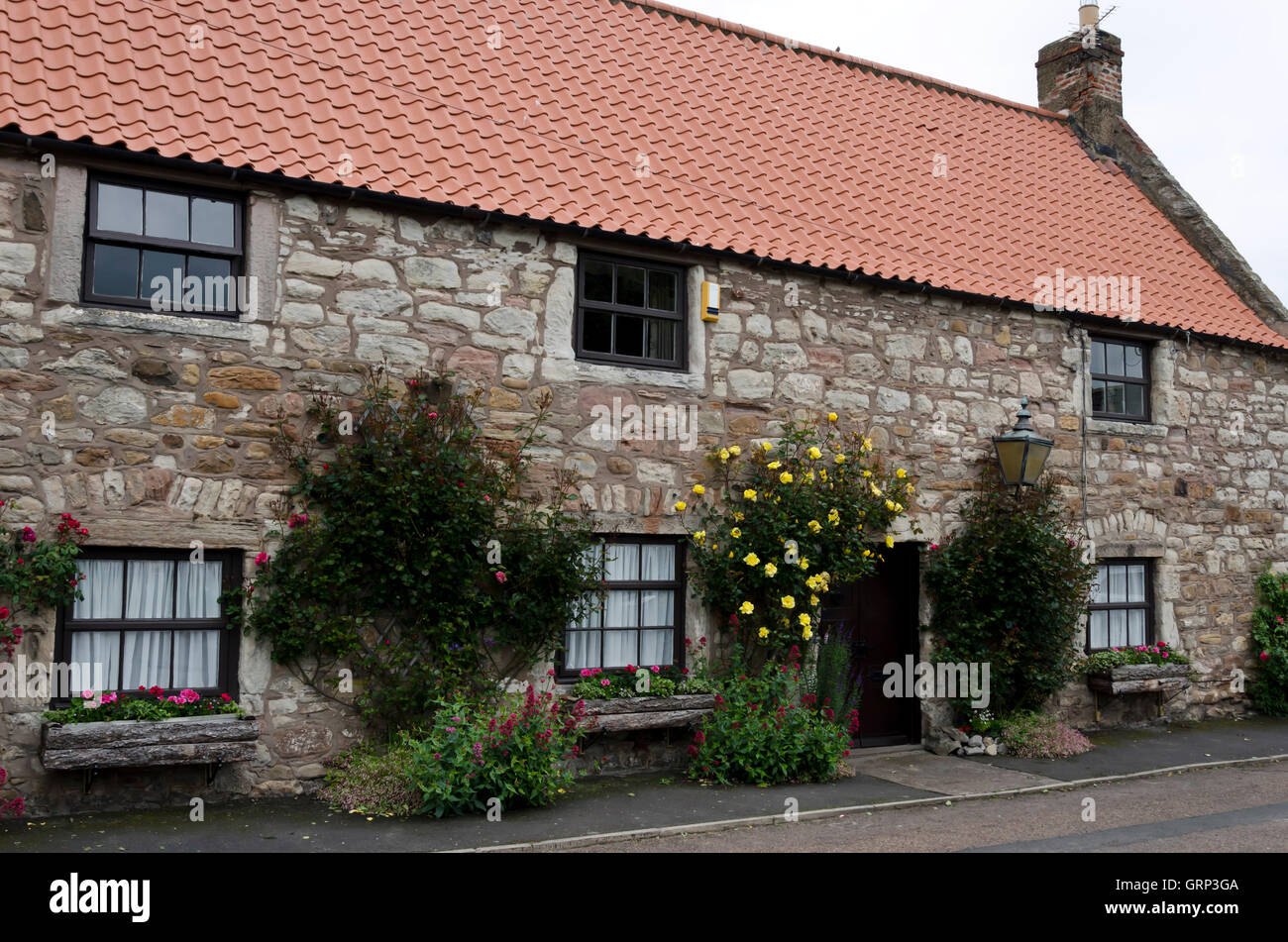 Flower-covered cottage on the island of Lindisfarne (Holy Island) in Northumberland, England. Stock Photo