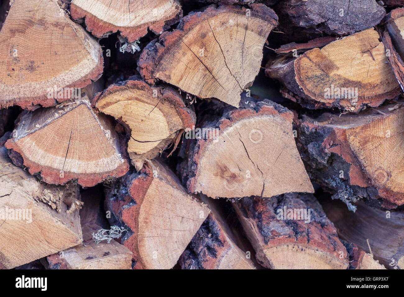 Dry wooden logs placed in cord natural background Stock Photo