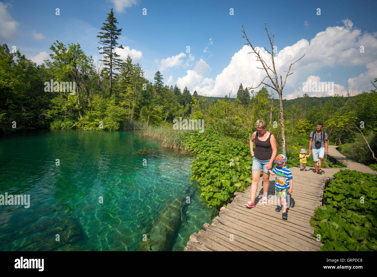 Holidaymakers strolling on a wooden pontoon lined by butterburs along the Korana river (Plitvice Lakes National Park - Croatia). Stock Photo