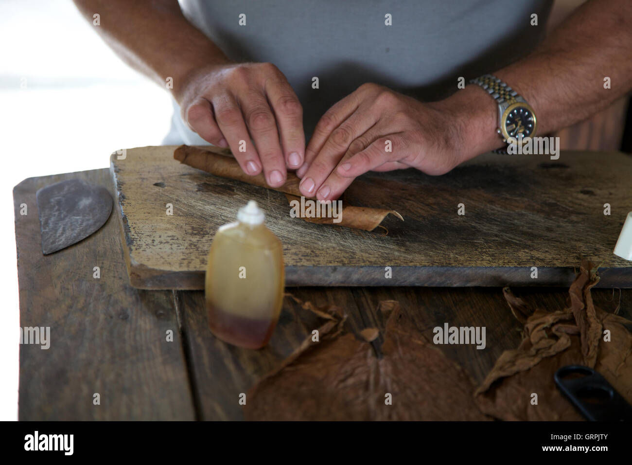 A tobacco farmer rolls a Cuban cigar at a tobacco plantation in Venales, Cuba, using honey to bind the leaves together as it is rolled. Stock Photo