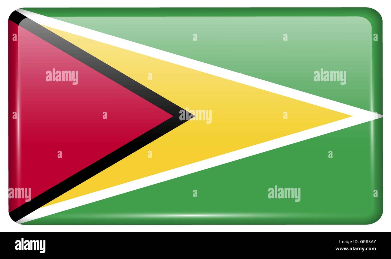 Flags Guyana in the form of a on refrigerator with reflections