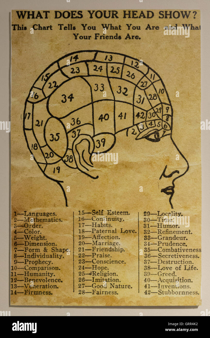 Phrenology Chart Poster