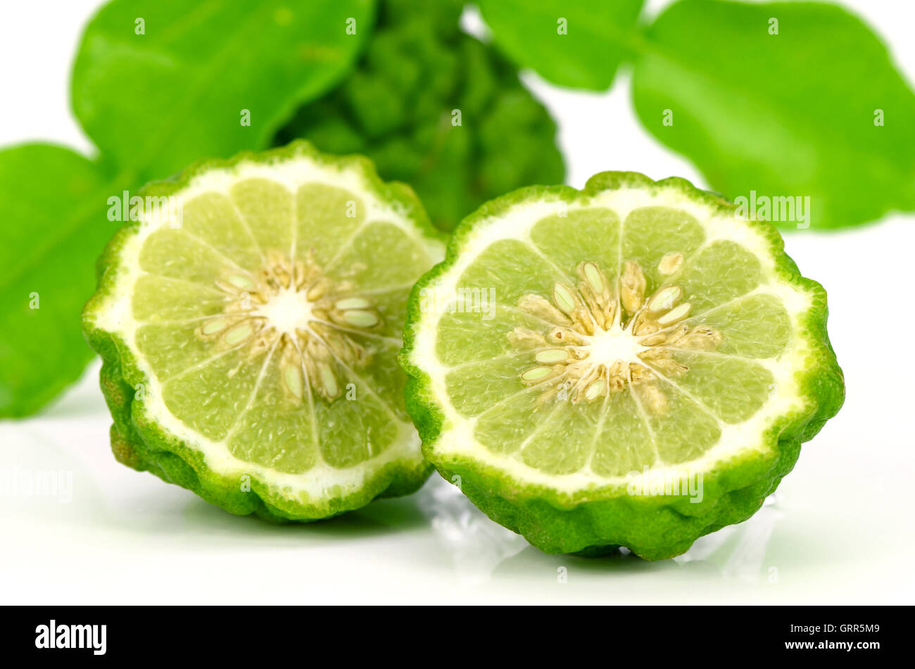 Fresh Fruits and Green Leaves of Kiffir lime or Leech lime (Citrus hystrix DC.) on White Background. Stock Photo