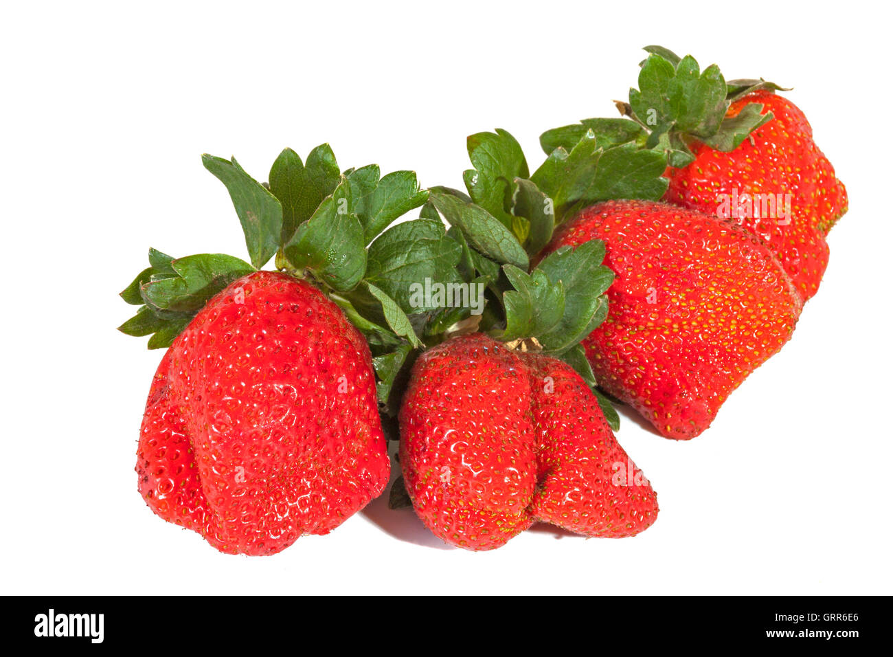 Strawberries studio hi-res stock photography and images - Alamy