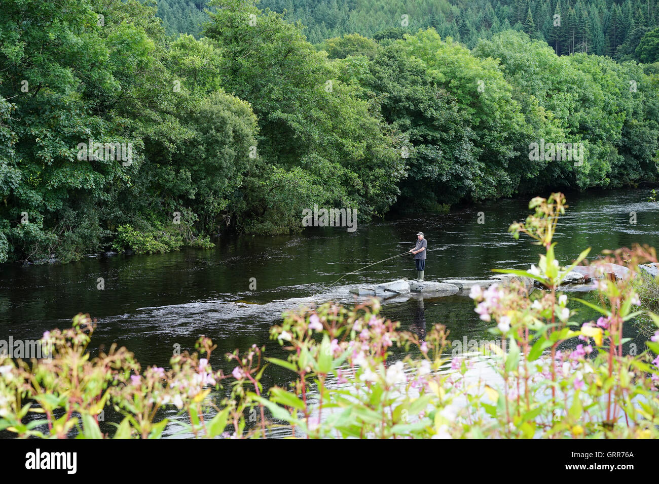 North wales fly fishing hi-res stock photography and images - Alamy