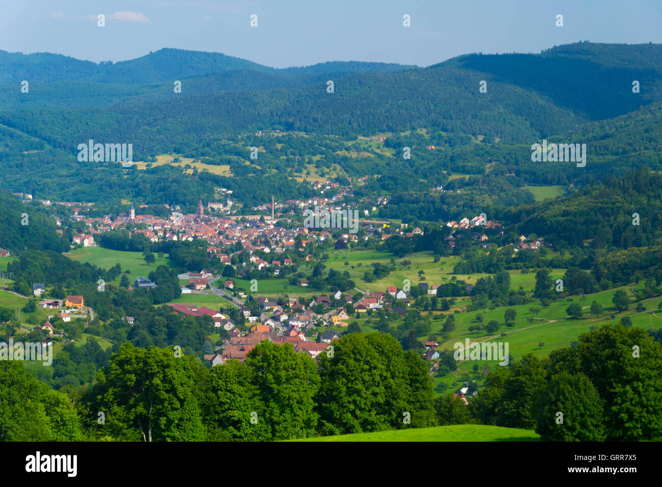 France, Haut-Rhin (68), Regional natural park of Ballons des Vosges, Munster valley, villages of Stosswihr and Munster Stock Photo