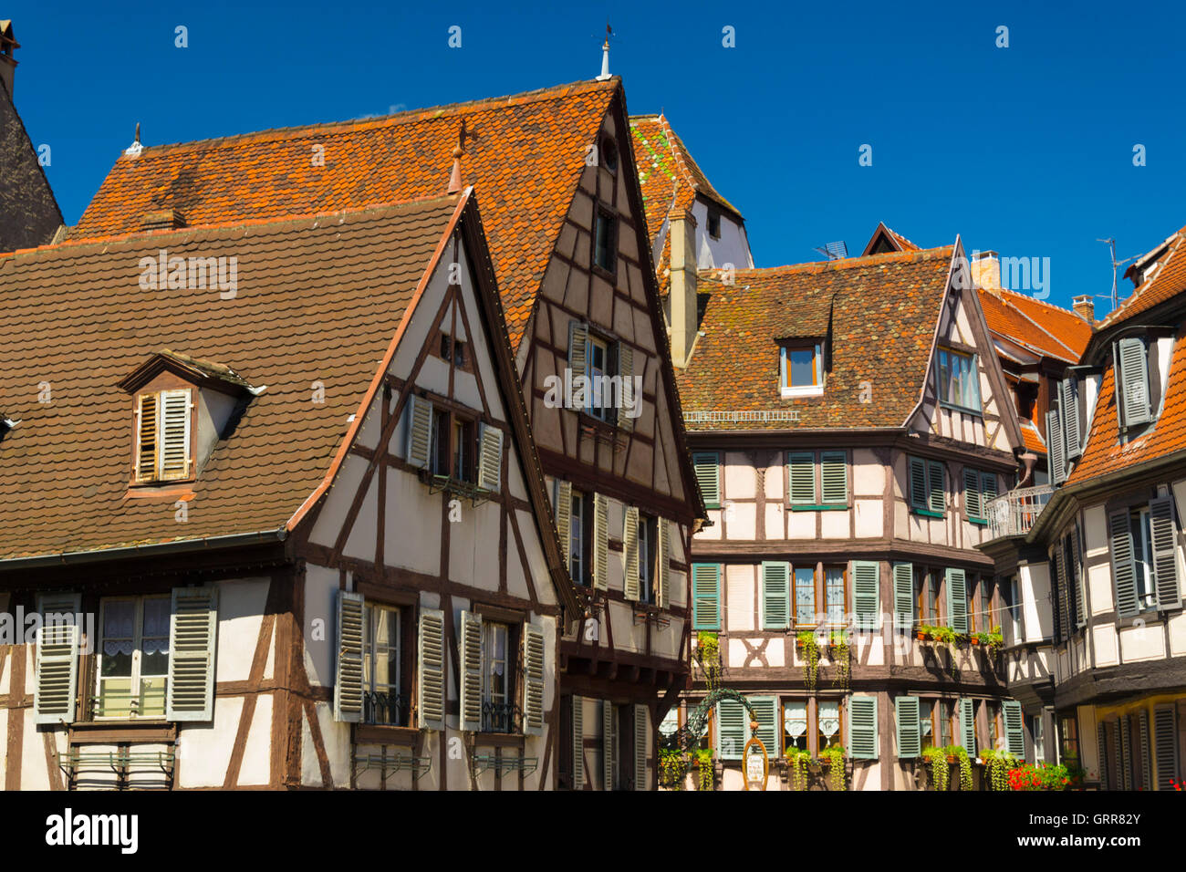 colmar sneakers travis