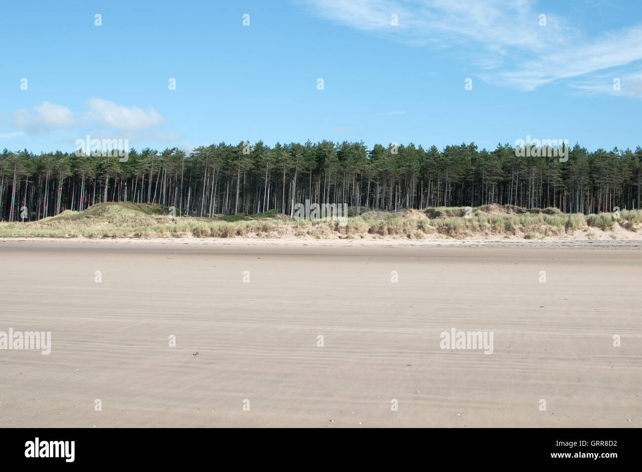 Newborough Beach Anglesey North Wales Stock Photo Alamy