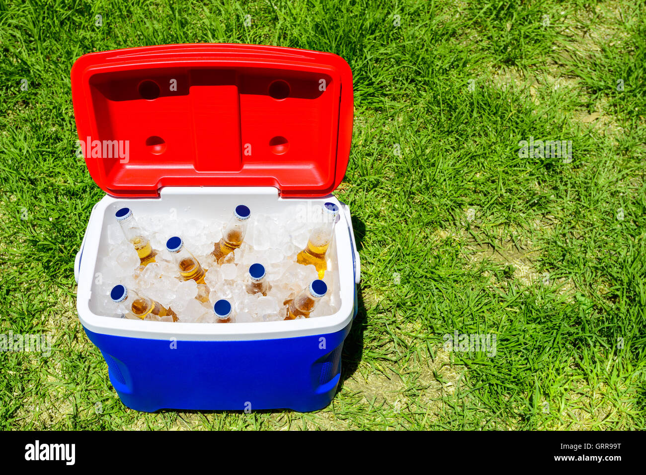 Picnic cooler box with bottles of beer in ice on grass during Australia Day  celebration Stock Photo - Alamy