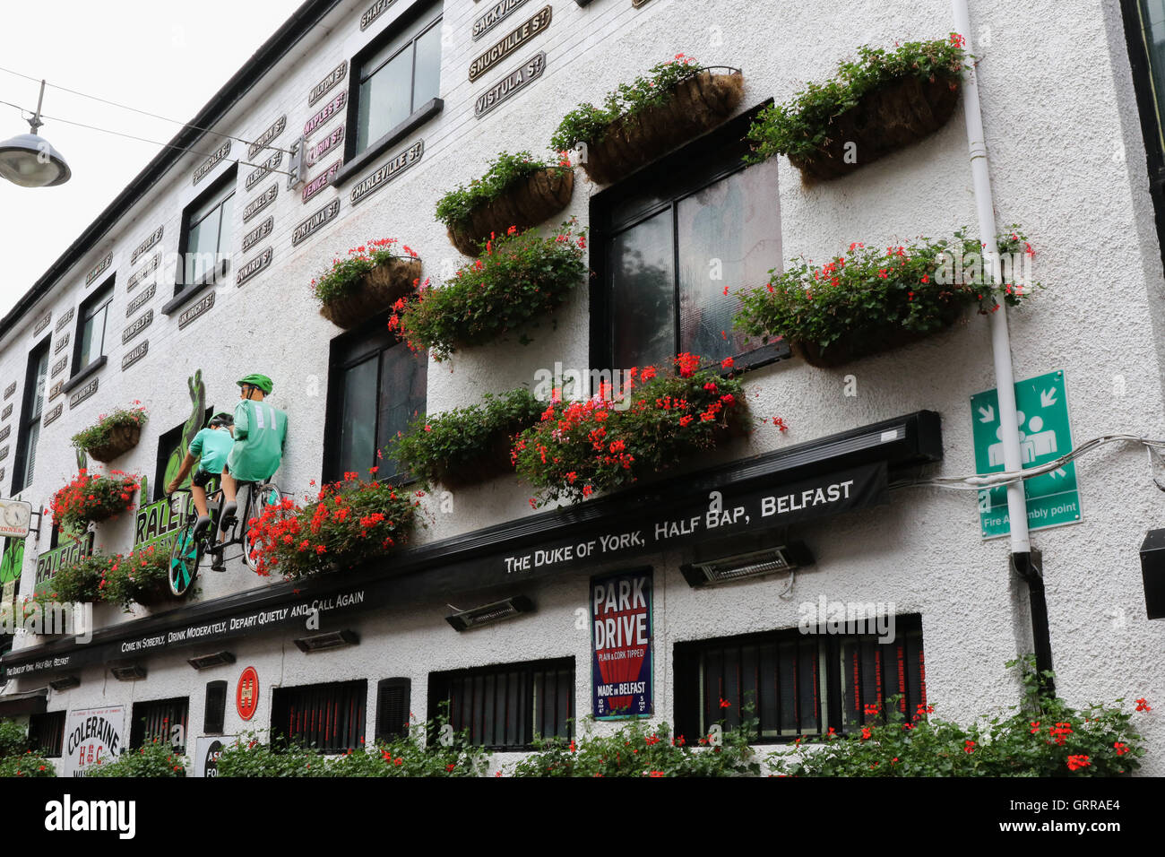 Hanging baskets on a pub wall at The Duke of York pub in Commercial