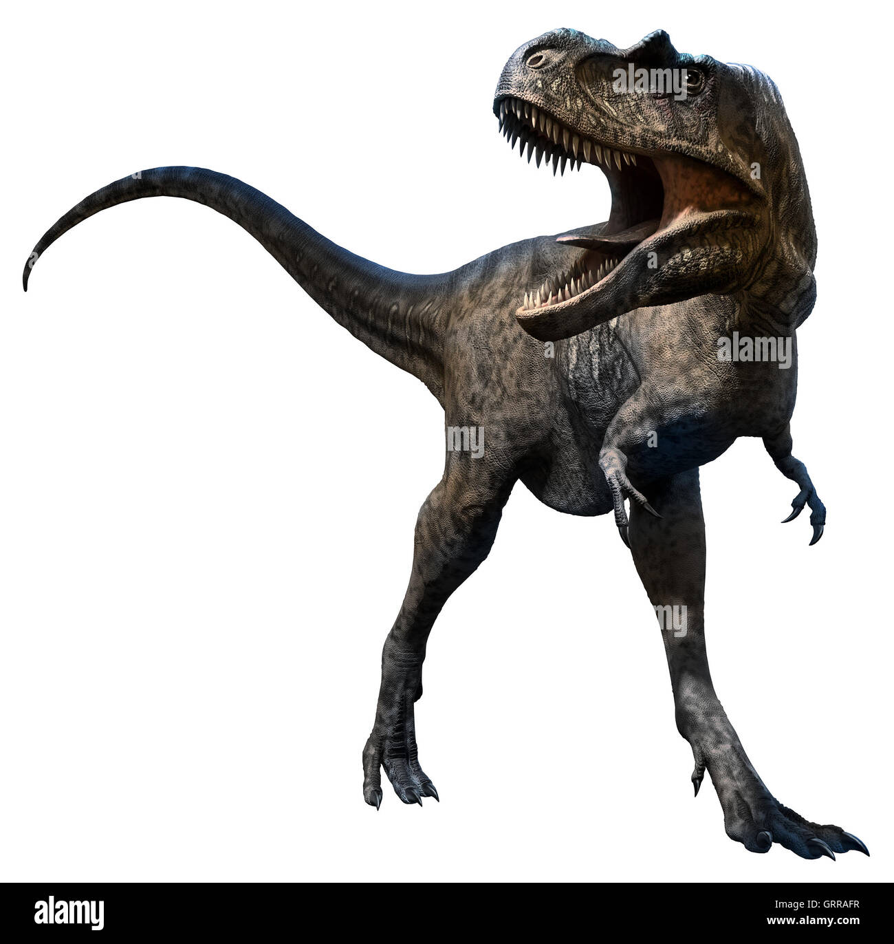 Albertosaurus Stock Photo - Alamy