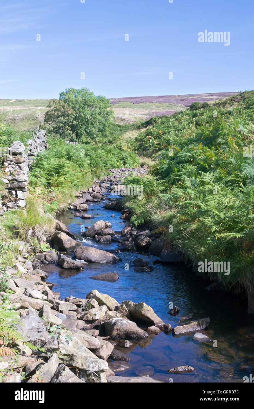 Shittlehope Burn, a tributary of the river Wear, Stanhope, Co. Durham, England, UK Stock Photo