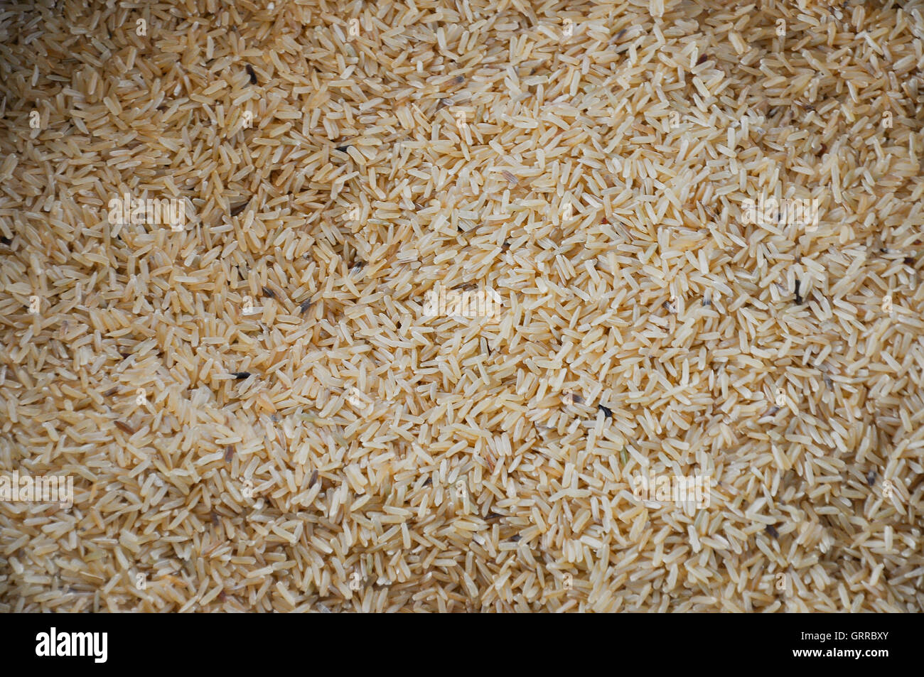 Milled Jasmine Rice, from north eastern of Thailand Stock Photo Alamy