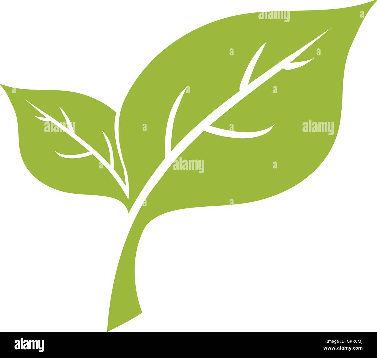 leaf plant green nature ecology icon. Vector graphic Stock Vector Image ...