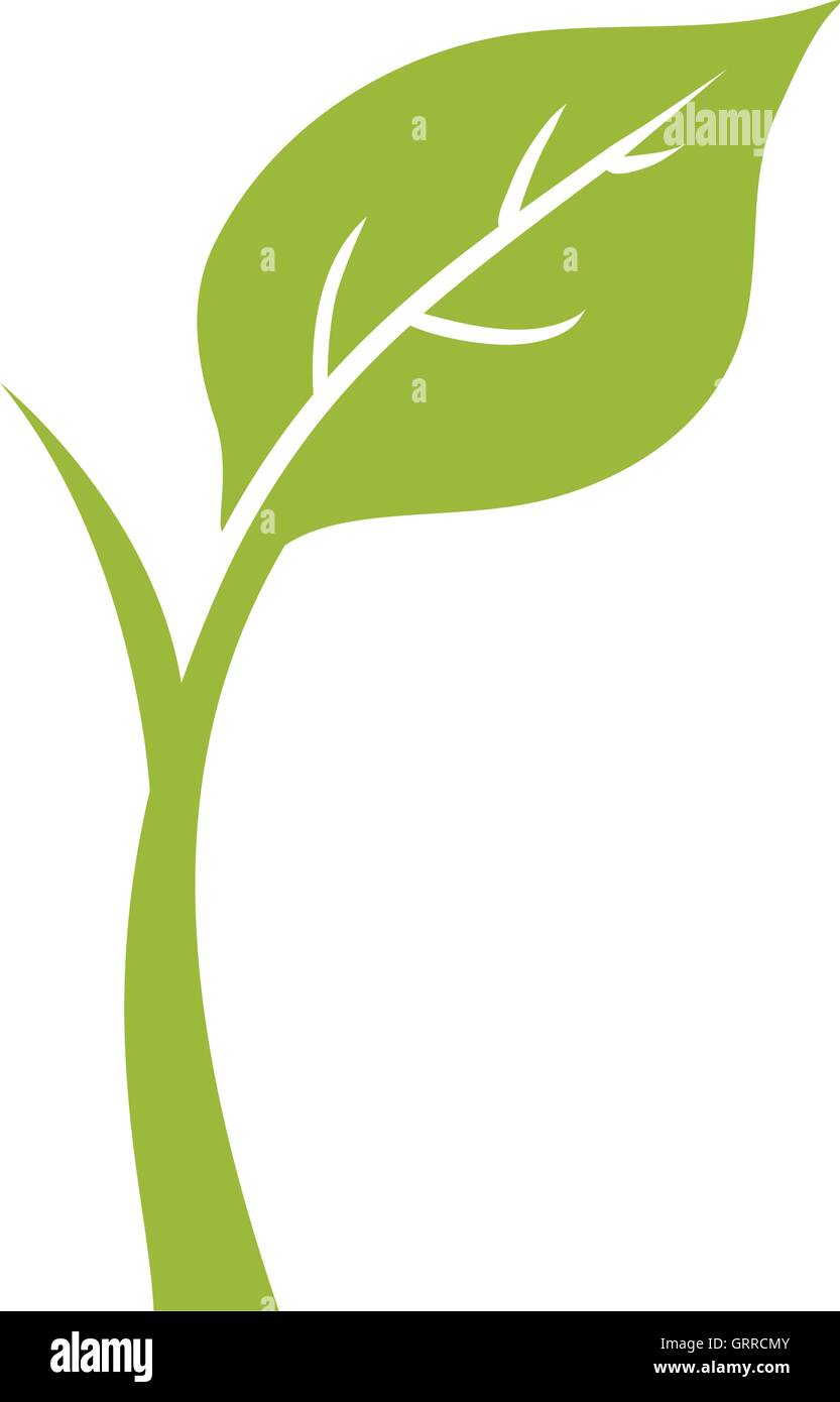 leaf plant green nature ecology icon. Vector graphic Stock Vector Image ...